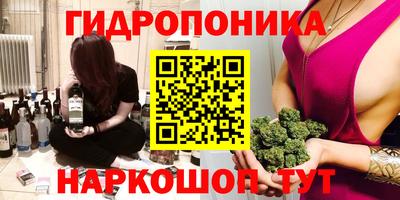 индика Шебекино